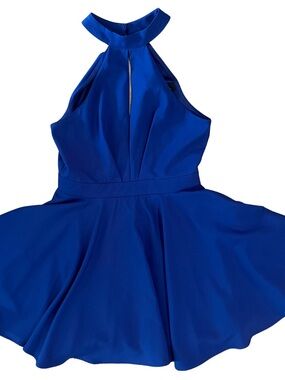 Lulu's Cobalt Blue Dress with Black Label Detail